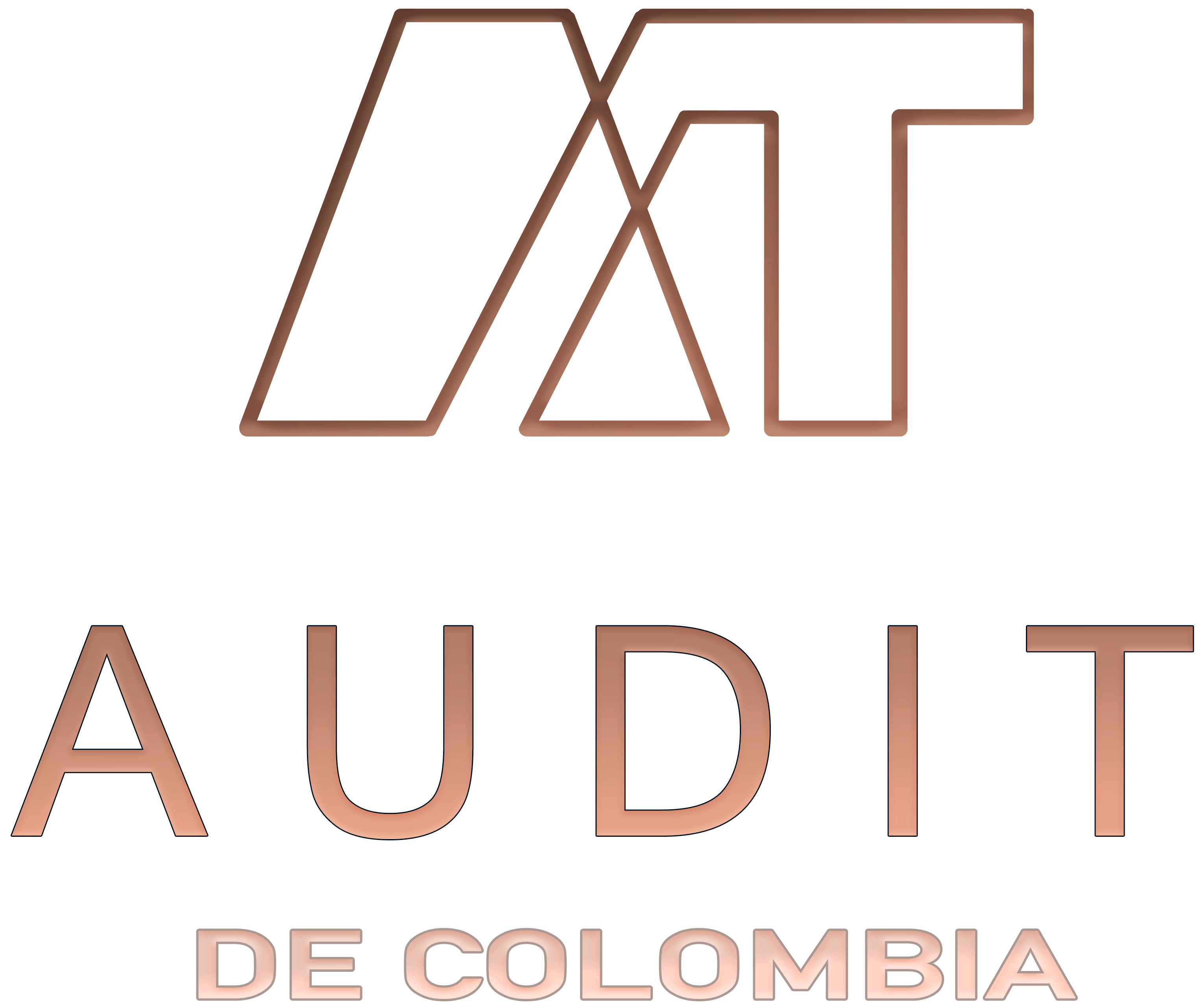 AUDIT DE COLOMBIA S.A.S.